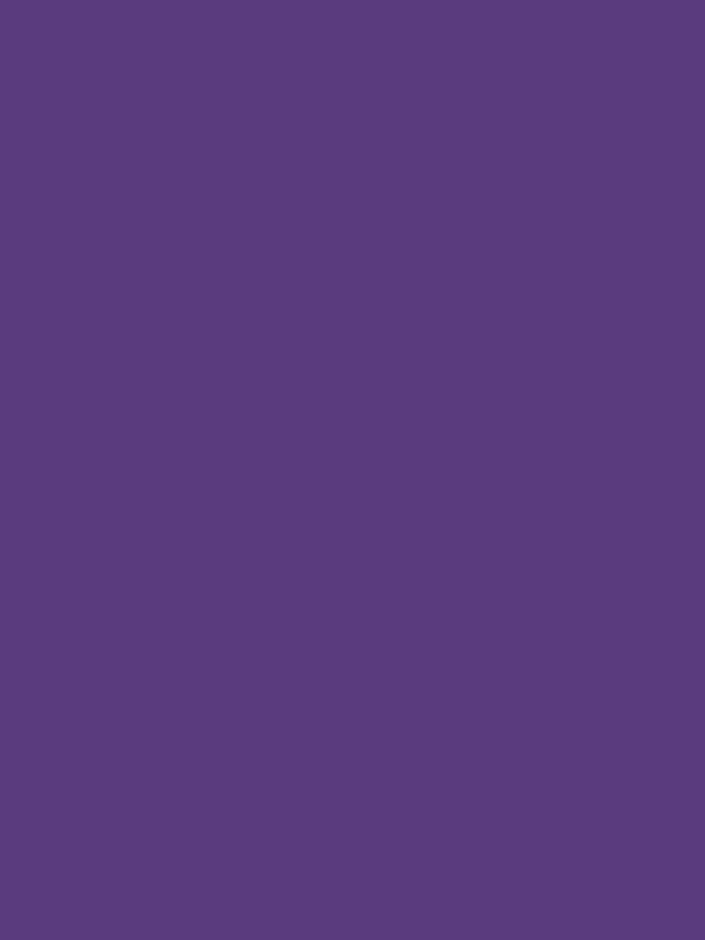 purpurina-purple-rect-1